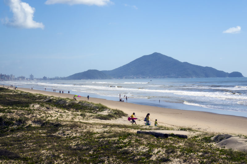 V&iacute;tima foi encontrada na &aacute;rea da restinga de Meia Praia, em Navegantes – Foto: Prefeitura Municipal de Navegantes/Divulga&ccedil;&atilde;o