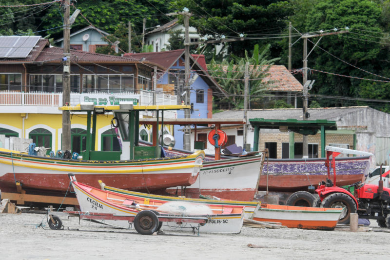 Portaria da Secretaria de Aquicultura e Pesca do Ministério da Agricultura deve provocar uma celeuma na próxima safra da tainha &#8211; Foto: Leo Munhoz/ND