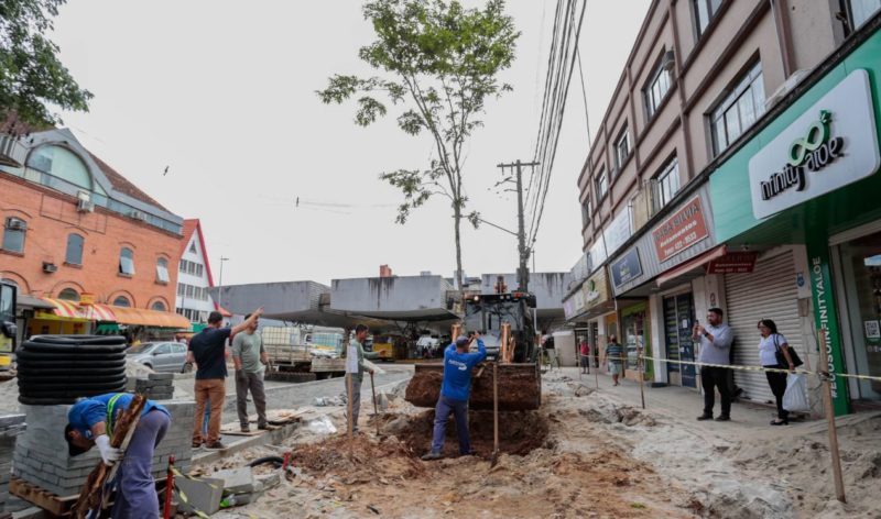 árvores são plantadas