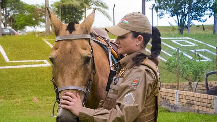 Soldado Katarine faz história e se torna 1ª mulher na Cavalaria da PM em  Criciúma