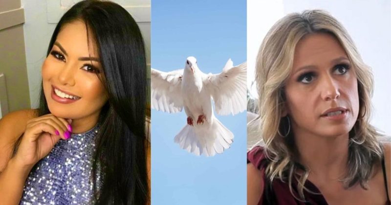 Confus&atilde;o aconteceu durante show do Calcinha Preta em homenagem &agrave; Paulinha Abelha: pomba da disc&oacute;rdia – Foto: Reprodu&ccedil;&atilde;o