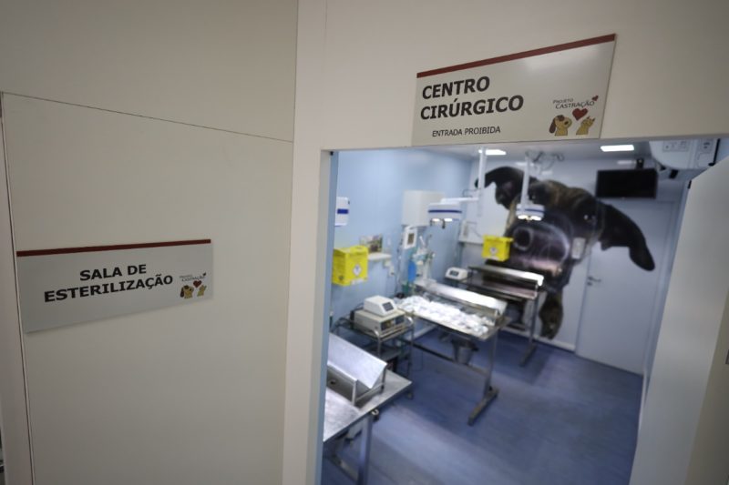 Programa realizar&aacute; 5.000 castra&ccedil;&otilde;es por meio de uma unidade m&oacute;vel contratada pela prefeitura – Foto: Cristiano Andujar/PMF/Divulga&ccedil;&atilde;o/ND