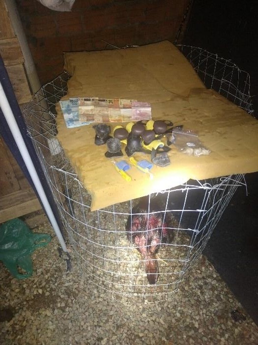 Seis galos foram resgatados com ferimentos graves – Foto: PM/Divulga&ccedil;&atilde;o