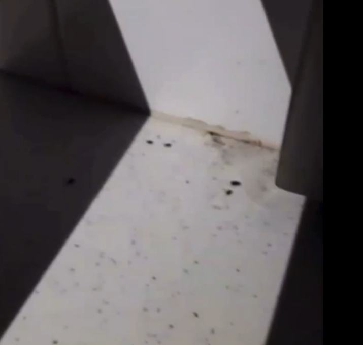 A creche foi fechada temporariamente por infesta&ccedil;&atilde;o de fezes e urina de ratos – Foto: Internet/Reprodu&ccedil;&atilde;o/ND