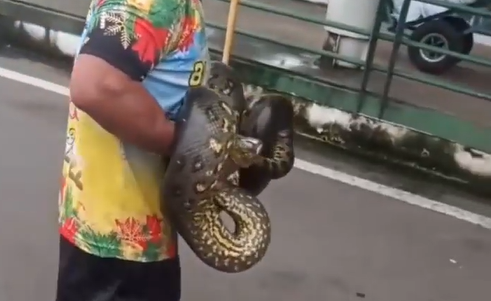 Homem com a sucuri no colo