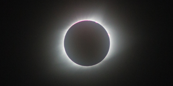 Um novo voc&ecirc; quer emergir. Abra espa&ccedil;o na sua vida para permitir seu eu desobrochar – Foto: Arquivo