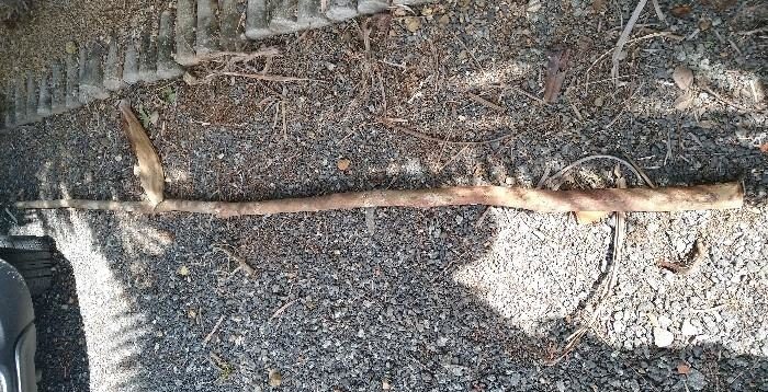 pedaço de madeira usado para assassinar idoso