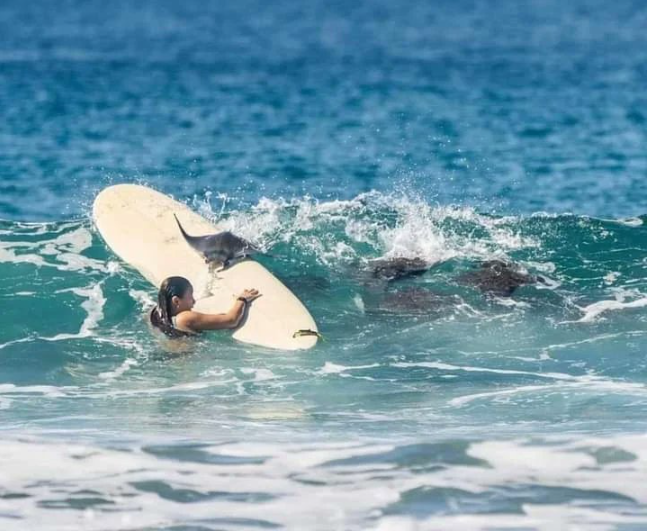 Clique foi feito em praia paradis&iacute;aca da Costa Rica – Foto: Heiner Castillo/FSC/Divulga&ccedil;&atilde;o/ND
