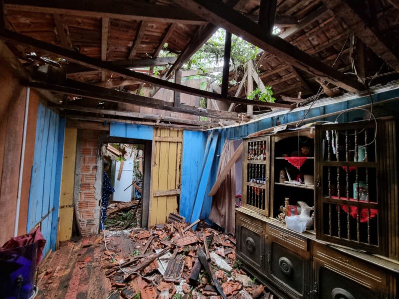 &Aacute;rvore destruiu casa onde moram sete pessoas – Foto: Kelly Borges/NDTV