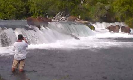 Caso os homens causassem estresse nos ursos a ponto de serem atacados, os animais seriam executados – Foto: Reprodu&ccedil;&atilde;o/Internet/ ND