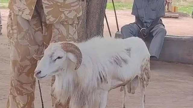 Cabra est&aacute; presa por matar mulher a chifradas – Foto: Reprodu&ccedil;&atilde;o/Internet/ND