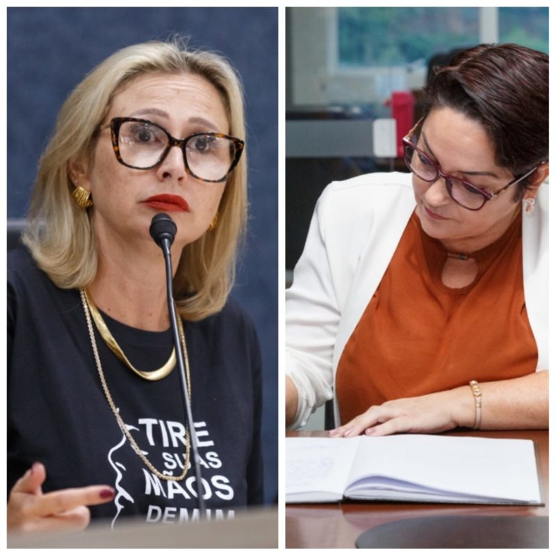 Anna Carolina e Fabiana Henrique come&ccedil;am a semana em destaque na C&acirc;mara – Foto: Davi Spuldaro/CVI/ND