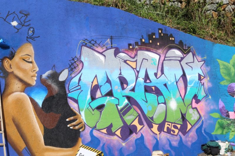 Artistas estamparam obras de arte nos muros da comunidade no final de semana promovido pelo projeto social Cidades Invisíveis