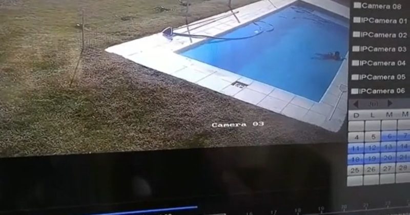 Menino salvou o cachorro na piscina