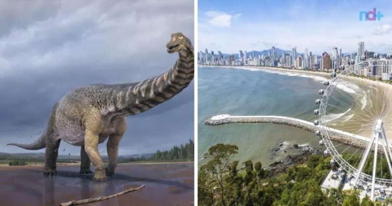 Grupo Oceanic promete nova atra&ccedil;&atilde;o jur&aacute;ssica em Balne&aacute;rio Cambori&uacute; – Foto: Vlad Konstantinov/Museu de Hist&oacute;ria Natural Eromanga/FG Big Wheel/Reprodu&ccedil;&atilde;o