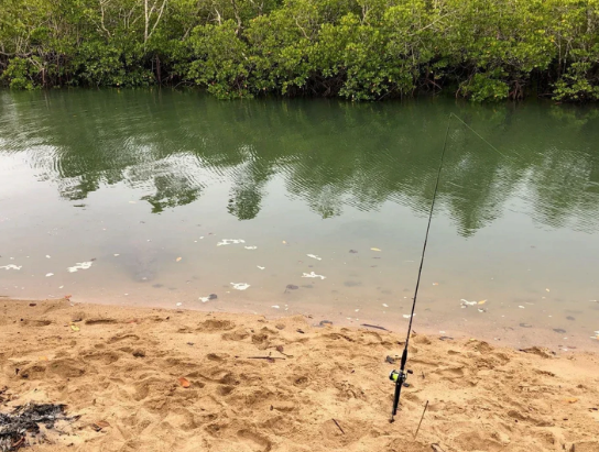 Crocodilo est&aacute; muito bem escondido na imagem – Foto: Reddit @SciNZ/Reprodu&ccedil;&atilde;o/ND