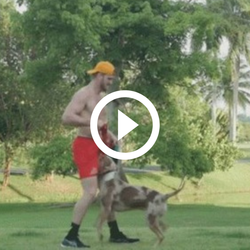 Logan Paul aceitou o desafio de Whindersson Nunes – Foto: Internet/Reprodu&ccedil;&atilde;o/ND