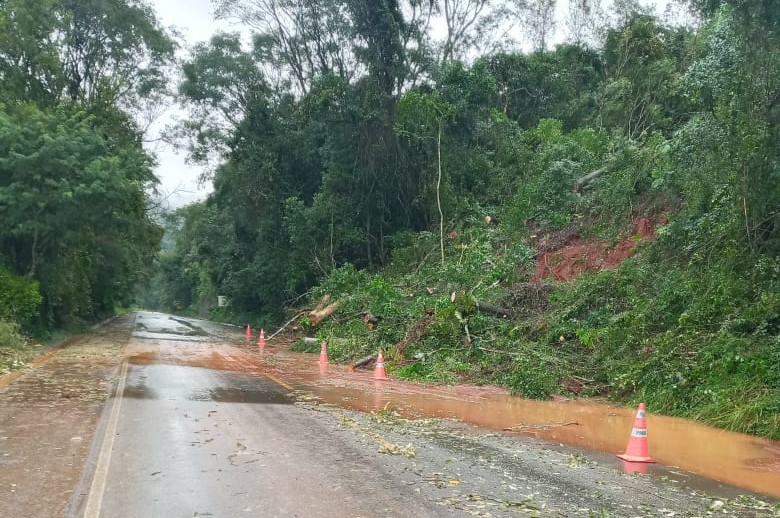 Aten&ccedil;&atilde;o deve ser redobrada no tr&acirc;nsito – Foto: Divulga&ccedil;&atilde;o/ND