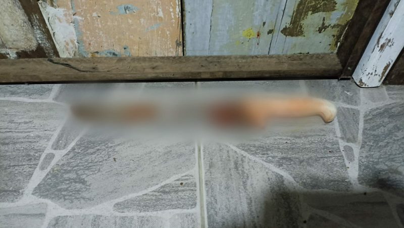 Faca de a&ccedil;ougueiro utilizada pelo criminoso para matar a crian&ccedil;a – Foto: Divulga&ccedil;&atilde;o/ND