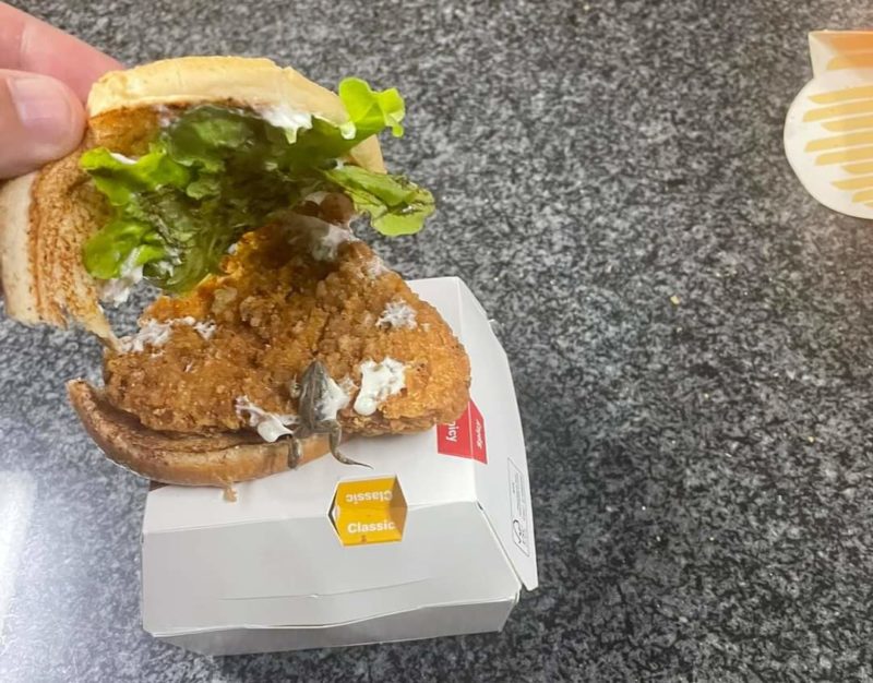 Caso aconteceu com venda de sandu&iacute;che em Secunda, na &Aacute;frica do Sul – Foto: Reprodu&ccedil;&atilde;o/Internet