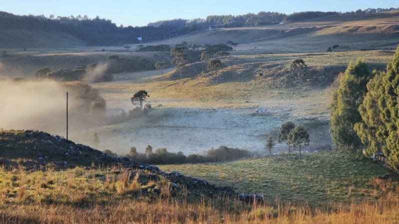 – Foto: Mycchel Legnaghi/S&atilde;o Joaquim Online/Reprodu&ccedil;&atilde;o/ND