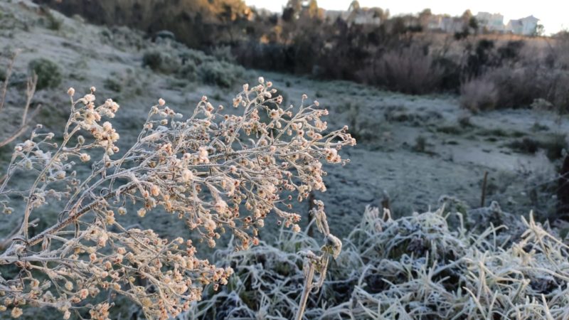 SC tem previs&atilde;o de geada para a regi&atilde;o serrana nesta quarta (10) – Foto: Wagner Urbano/Divulga&ccedil;&atilde;o/ND