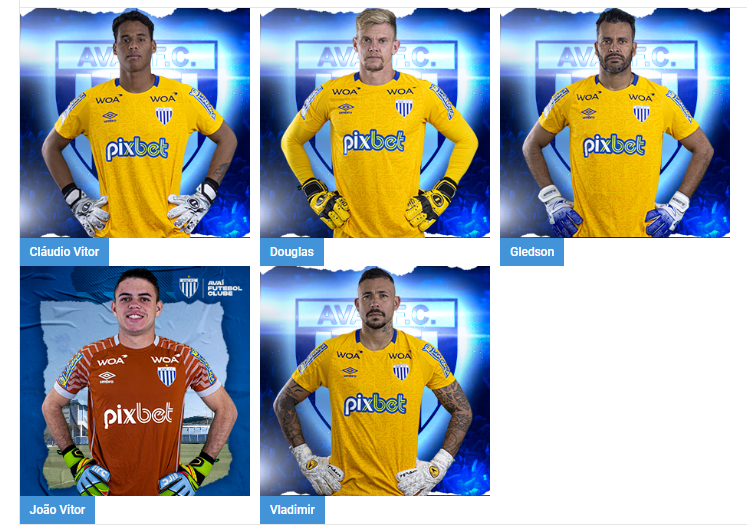 Sem o Douglas suspenso, as op&ccedil;&otilde;es de goleiro do Ava&iacute; para o jogo de s&aacute;bado diante do S&atilde;o Paulo – Foto: Site Ava&iacute;/divulga&ccedil;&atilde;o/ND