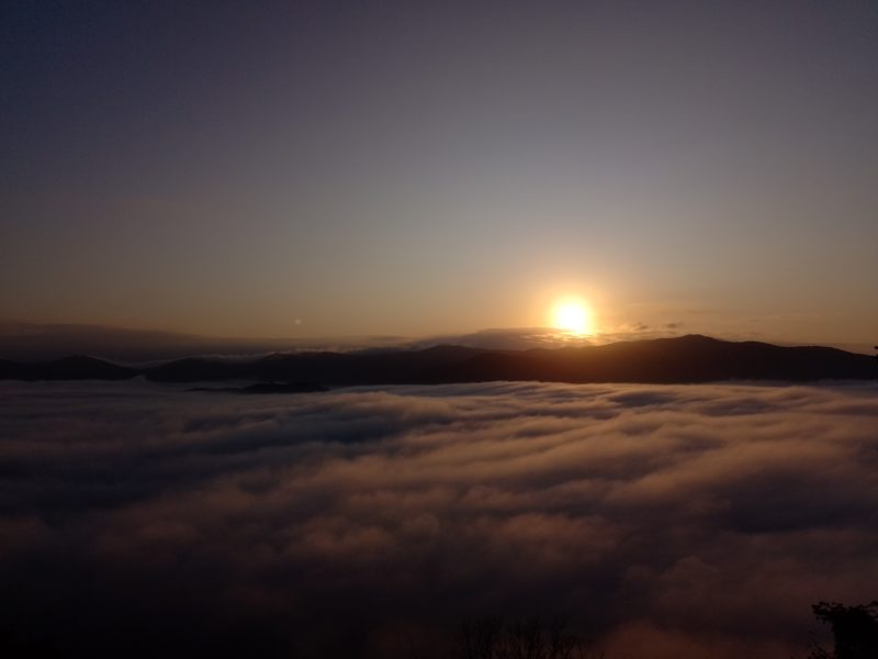 Do alto do Morro da Cruz, Florianópolis amanheceu escondida sob as camadas de nevoeiro que encobriu a cidade Foto: Yasmin Mior/ND