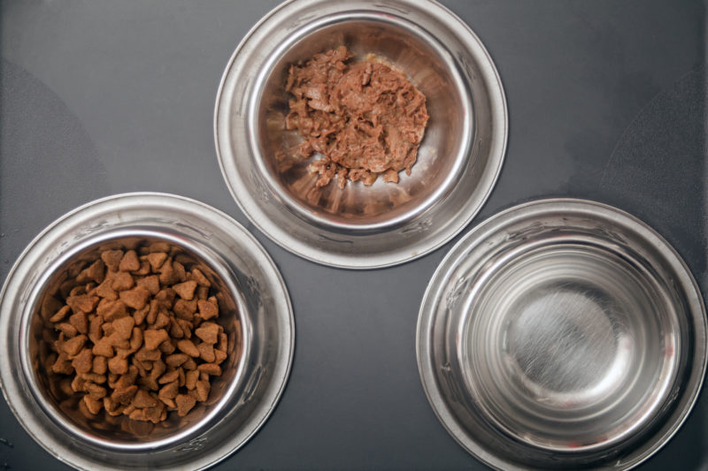 Rações secas e úmidas são os tipos mais comuns de alimentos para cães e gatos &#8211; Foto: Divulgação