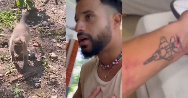 &Iacute;talo Ferreira foi atacado por um bando de macacos e saiu machucado – Foto: Reprodu&ccedil;&atilde;o