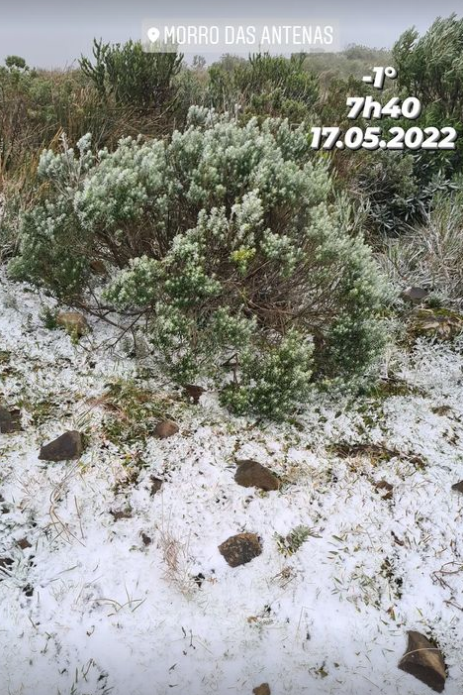 No Morro das Antenas, a queda de neve foi registrada pela população &#8211; Foto: Refúgio da Neve/Santa Catarina/Reprodução/ND