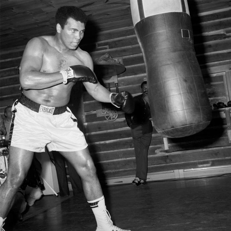 Muhammed Ali, lenda do boxe mundial segue “representado” nos ringues pelo neto Nico Ali – Foto: internet