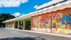 Candidata da atual gest&atilde;o ficou fora – Foto: Divulga&ccedil;&atilde;o