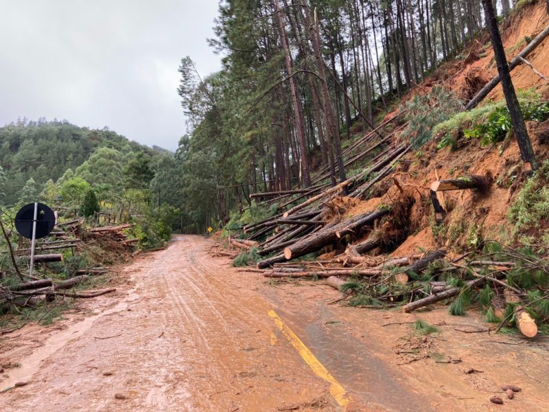 Estradas continuam obstru&iacute;das ap&oacute;s as chuvas e deslizamentos desta semana – Foto: Osvaldo Sagaz/Reprodu&ccedil;&atilde;o/ND