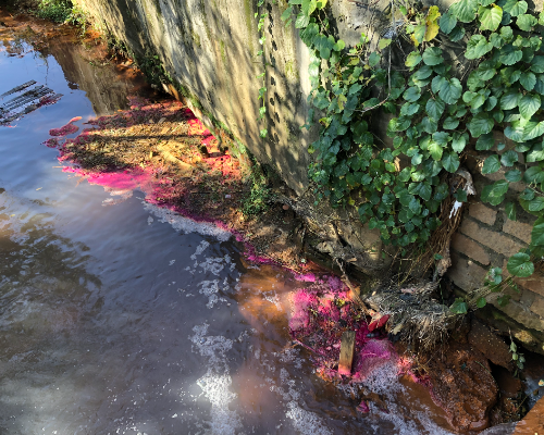 Foto mostra ainda algumas manchas no rio &#8211; Foto: MPSC/Divulgação/ND