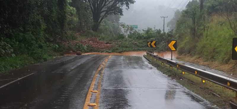 Fato ocorreu na tarde desta ter&ccedil;a-feira – Foto: PMRv/ND