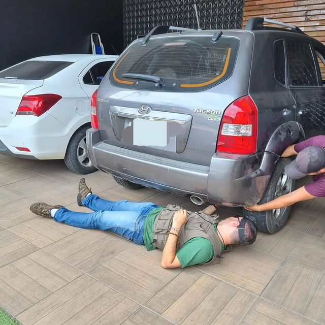 serpente vai parar debaixo do carro