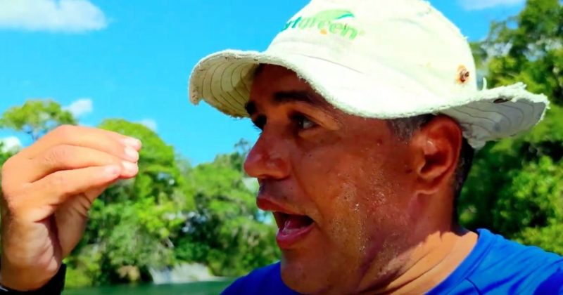 Guia turístico do Pantanal mostrou em vídeo seu flagra da sucuri no Rio Formoso &#8211; Foto: Reprodução