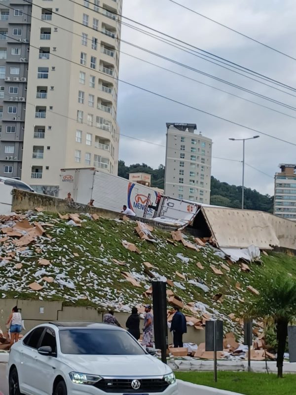 Peixes espalhados pela rodovia repercutiram na Internet – Foto: Reprodução/Internet