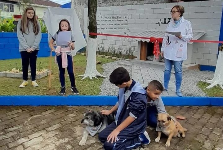 cachorros são adotados