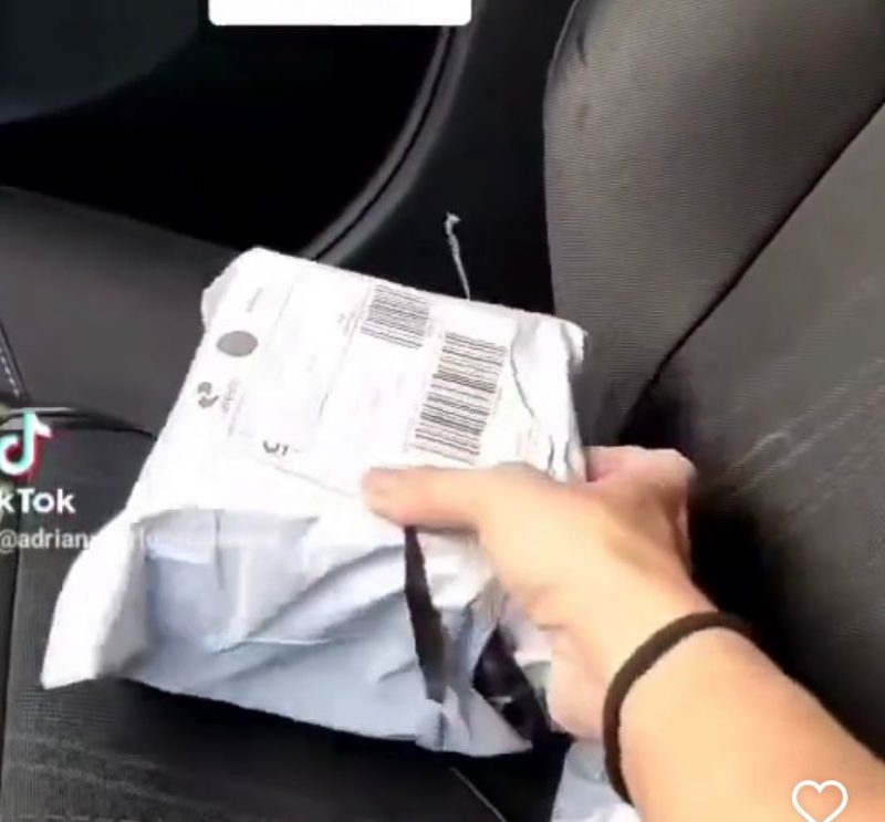 Brinquedo de cachorro foi confundido por objeto sexual – Foto: Reprodu&ccedil;&atilde;o/Internet