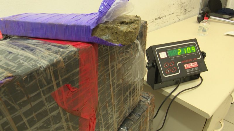 Policiais apreenderam 211 kg de maconha – Foto: Alfa Stofelli/NDTV