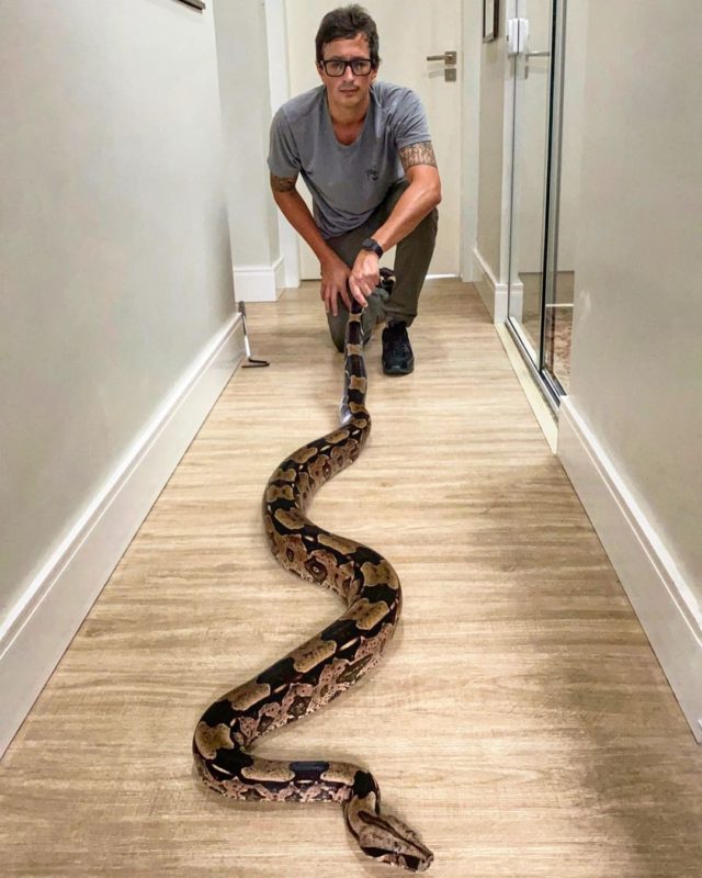 Jenifer tem 16 anos e mede mais de tr&ecirc;s metros de comprimento – Foto: Arquivo pessoal