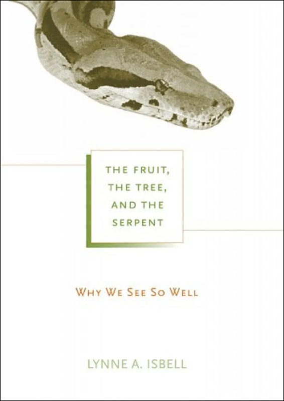Livro “Why We See So Well?”, de Lynne Isbell – Foto: Amazon/Reprodu&ccedil;&atilde;o/ND