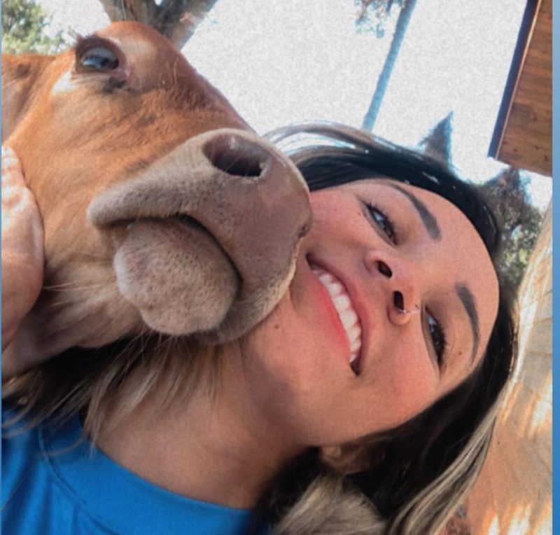 Boi Pirilampo foi adotado no dia do Natal, em 2020&nbsp; – Foto: duda_anjossss/Instagram/Reprodu&ccedil;&atilde;o/ND