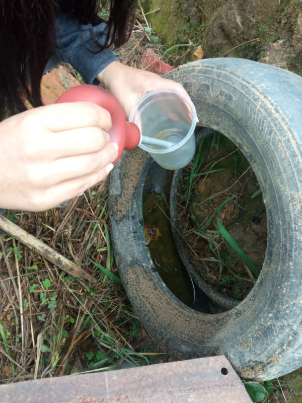 Combate à dengue em Mafra