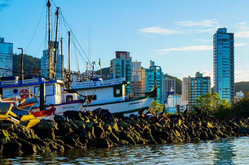Itaja&iacute; tem 700 embarca&ccedil;&otilde;es de pesca industrial – Foto: Marcos Porto/SECOM Itaja&iacute;/ND