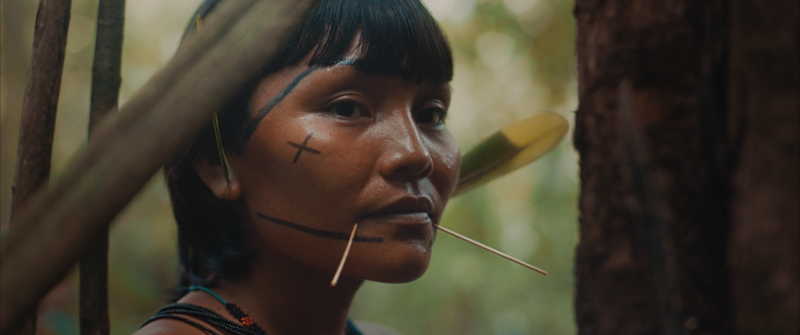 Imagem do filme “A &Uacute;ltima Floresta” – Foto: STILL/Divulga&ccedil;&atilde;o/ND