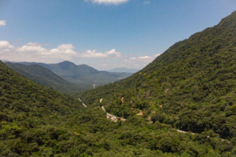 APA Serra Dona Francisca &eacute; uma das unidades que poderiam ser beneficiadas – Foto: Divulga&ccedil;&atilde;o/ND