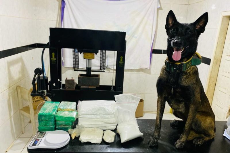 Drogas tamb&eacute;m foram apreendidas na opera&ccedil;&atilde;o – Foto: PC/Divulga&ccedil;&atilde;o